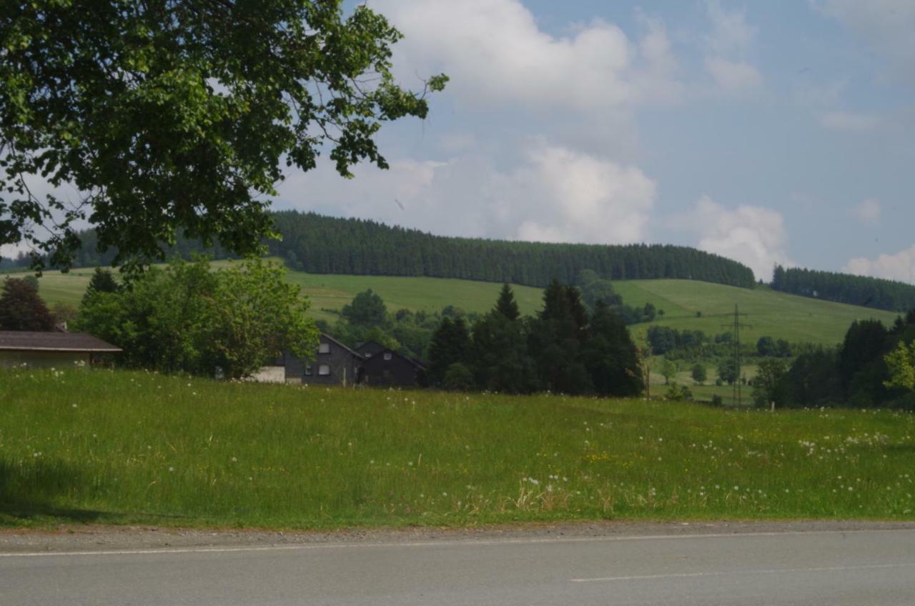 Das Gelbe Haus 1 Daire Winterberg Dış mekan fotoğraf